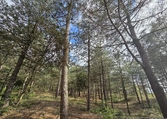 Neuf 62 M², 5 Couchages, A 250 M De La - Balcon, Jardin Prive, Et Parking Inclus - Fr-1-364-111 Apartmán *