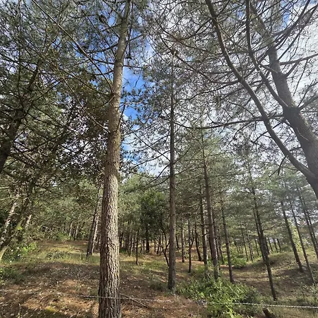 Neuf 62 M², 5 Couchages, A 250 M De La - Balcon, Jardin Prive, Et Parking Inclus - Fr-1-364-111 Appartement *