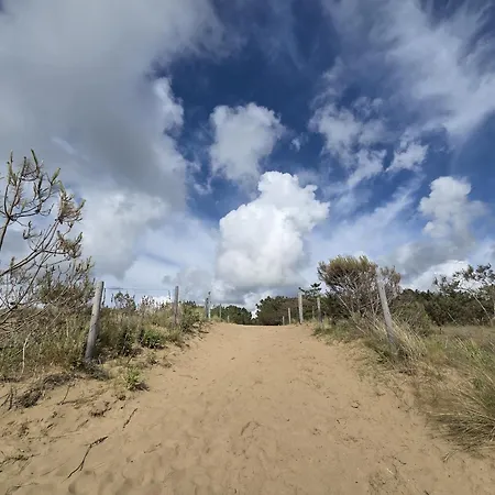 Neuf 62 M², 5 Couchages, A 250 M De La - Balcon, Jardin Prive, Et Parking Inclus - Fr-1-364-111